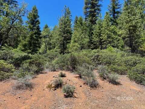850 Chrome Mine Rd, Hayfork, CA 96041