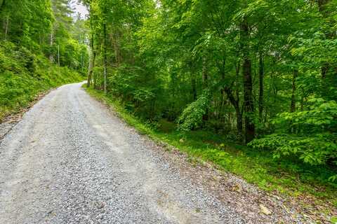 110 Goldminers Road, Tellico Plains, TN 37385