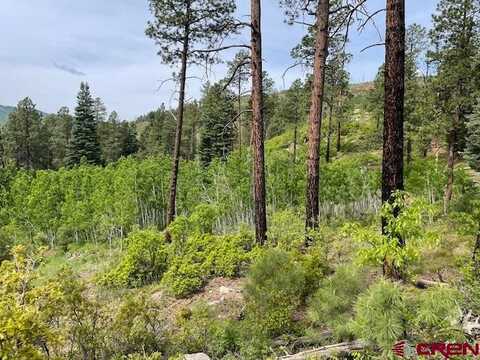 TBD1 Lake View Drive, Bayfield, CO 81122