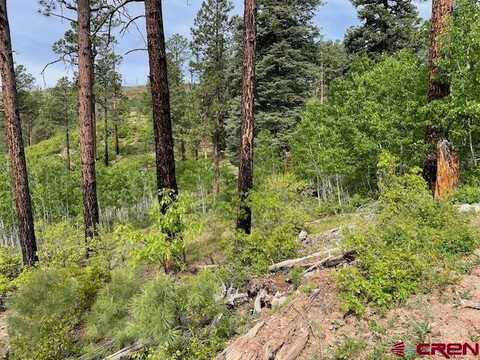 TBD2 Lake View Drive, Bayfield, CO 81122