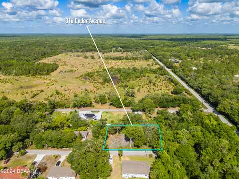 316 Cedar Avenue, Oak Hill, FL 32759