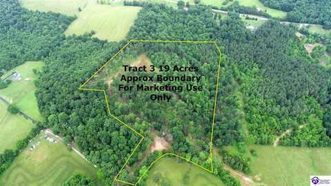 Tract 3 Hornback Lane, Caneyville, KY 42721