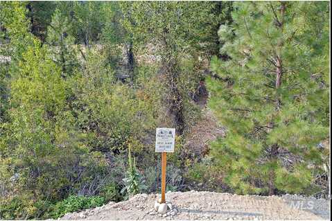 Lot 61 Lily Loop, Idaho City, ID 83631