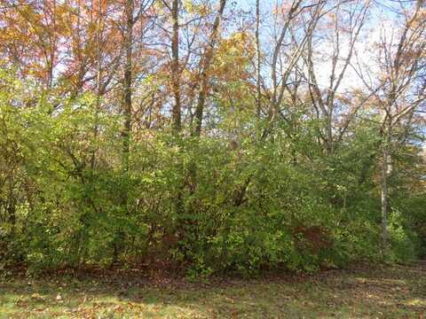 704 Echo (Lot 21) Trail, Marengo, IL 60152