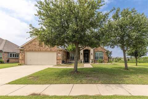 1604 Laguna Del Sol Drive, Little Elm, TX 75068