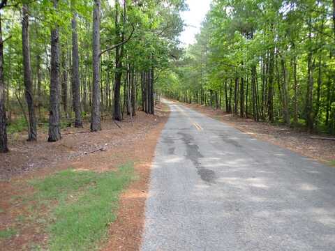 0 Weller Road - West Tract, Brookwood, AL 35444