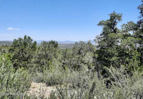 Lot 219 Forest Acres, Seligman, AZ 86337