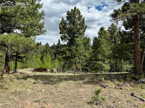 40 Grizzley Peak Road, Florissant, CO 80816