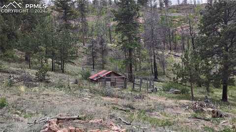 3457 Highland Meadows Drive, Florissant, CO 80816