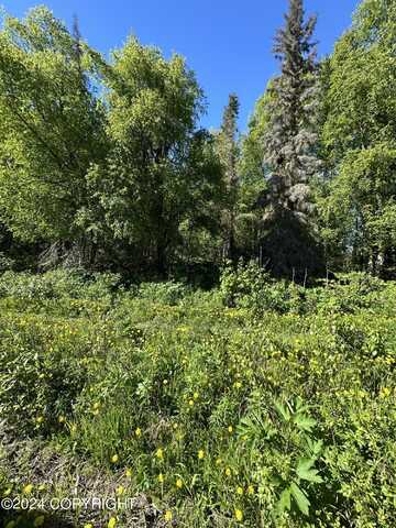 Lot 4 Lake Village Sub Blk 4, Kenai, AK 99611