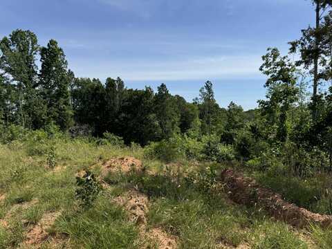 Tbd Jeter Cemetery Road, Union, SC 29379