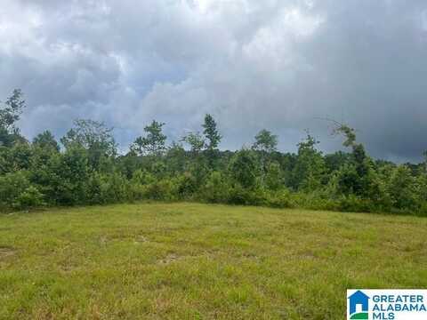 11085 BLUFF SPRINGS ROAD, CRAGFORD, AL 36255