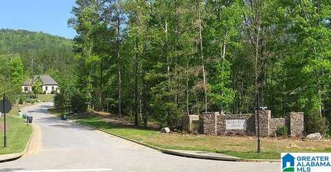 MORNINGVIEW COVE, CHELSEA, AL 35147