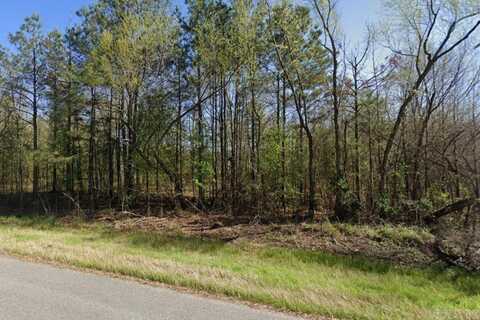 0 Dogwood Forest Drive, Pine Bluff, AR 71603