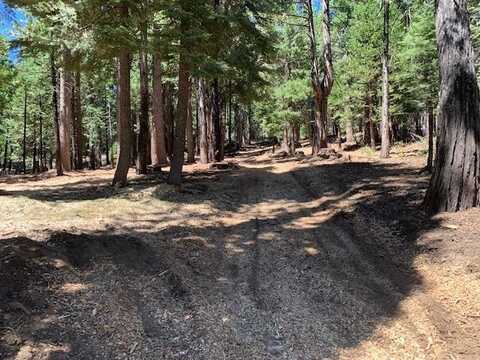 129 Beatrice Drive, Camp Connell, CA 95223