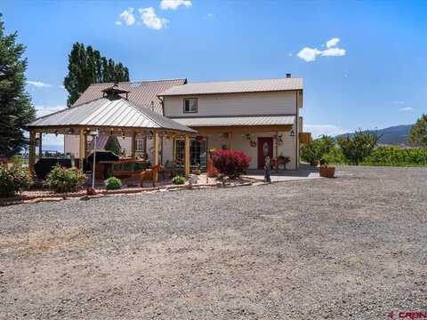 20809 Nowhere Road, Eckert, CO 81418