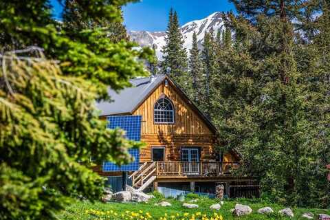 221 E Avenue, Crested Butte, CO 81224