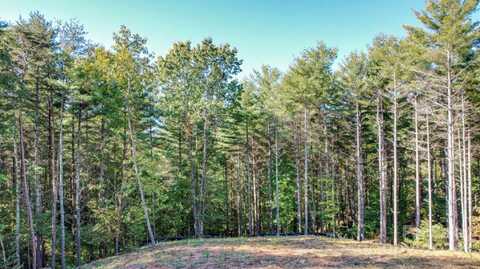 36 Pine Ridge Drive, Nebo, NC 28761