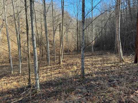 1438 Mill Creek Road, Wayland, KY 41666