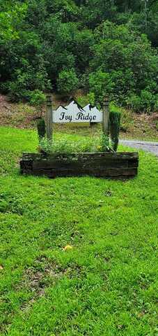 Tbd Ivy Ridge Circle, Sylva, NC 28779