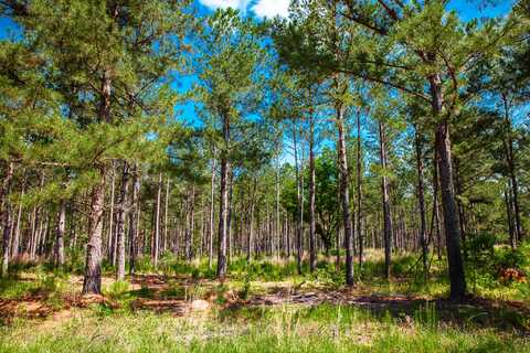 Lot B BILL DORN Road, Appling, GA 30802