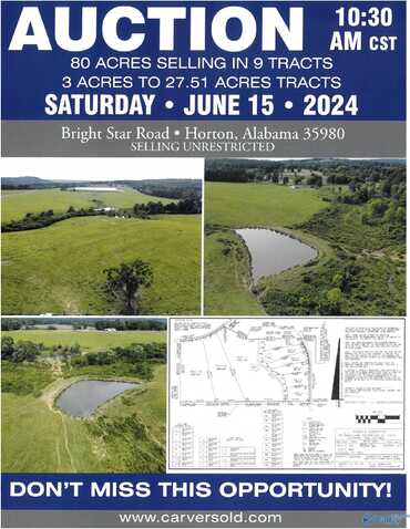 Tr 4 Bright Star Road, Horton, AL 35980