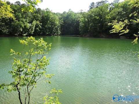 2.6 Acres Blue Bird Lane, Double Springs, AL 35553