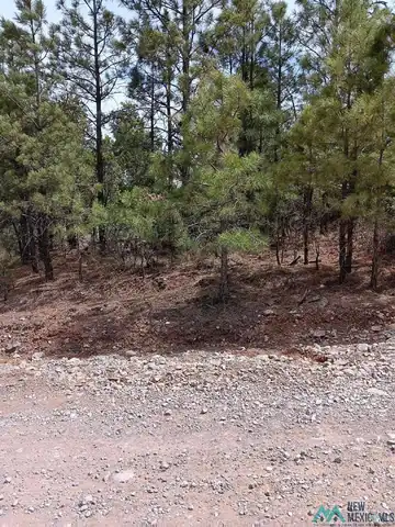 Lot 21 Wishita Drive, Timberon, NM 88350