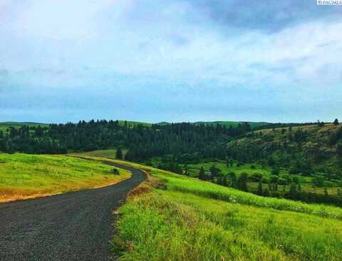 Lot 32 Red Tail Ridge, Colfax, WA 99111