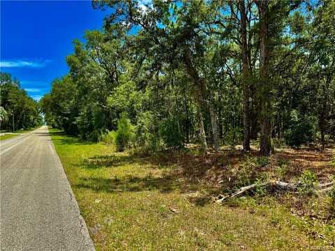 798 W Pearson Street, Hernando, FL 34442