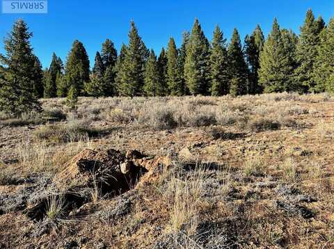 3201 Sheep Creek Road, ISLAND PARK, ID 83429