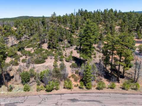 6007 Rim Road, Lakeside, AZ 85929