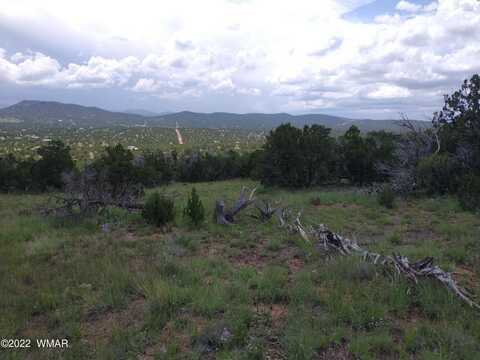 48 Co 8032 Road, Concho, AZ 85924