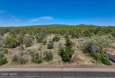 1688 W White Mountain Blvd, Lakeside, AZ 85929