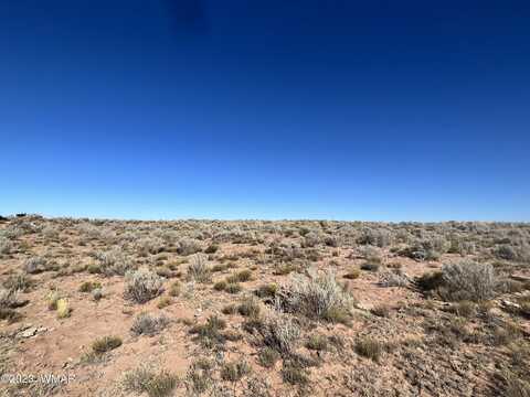 2 Forgotten Trail, Saint Johns, AZ 85936