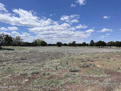 18 Pate Lane, Concho, AZ 85924