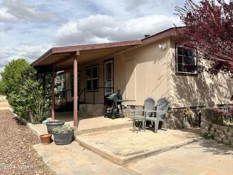 625 South Echols Lane Lane, Snowflake, AZ 85937