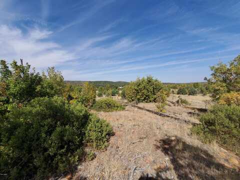 TBD White Cloud Rd, Pinedale, AZ 85934