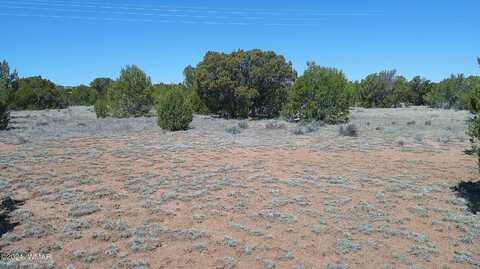 TBD Concho Valley, Concho, AZ 85924