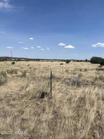 Lot 167 N CR 2005, Nutrioso, AZ 85932