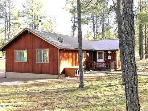 2 County Road 2096, Alpine, AZ 85920