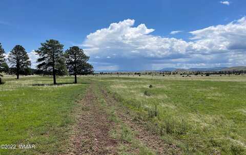 Tract 1 County Road N1334, Greer, AZ 85927