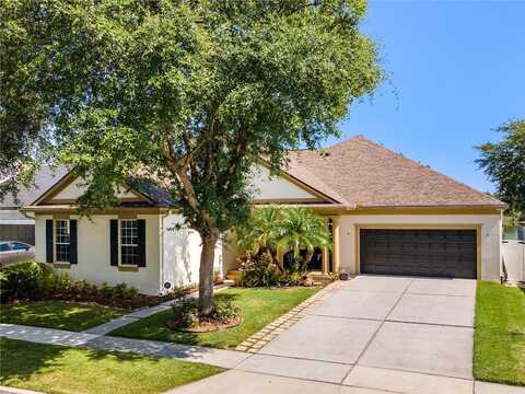 Southern Red Maple, ORLANDO, FL 32828