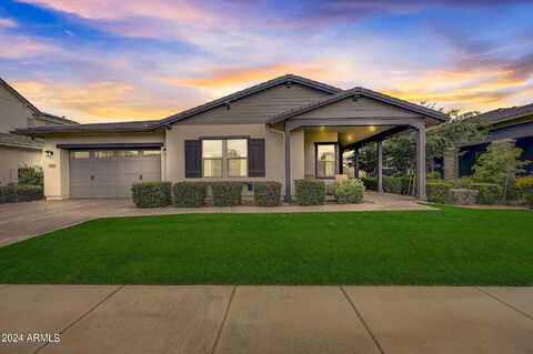 Appaloosa, GILBERT, AZ 85296