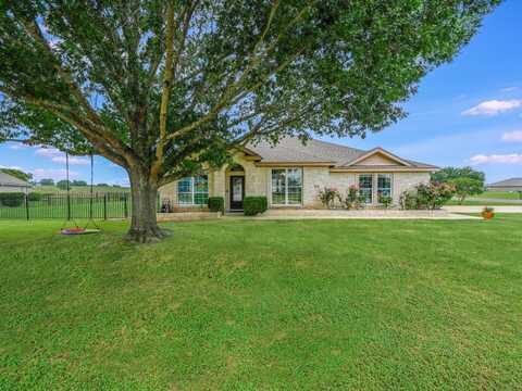 Colovista, BASTROP, TX 78602