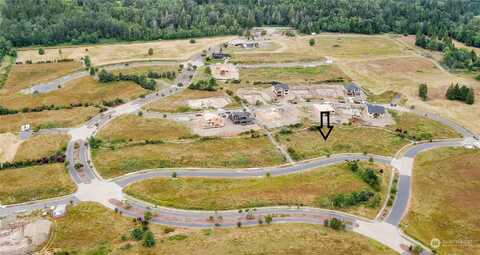 Lasiandra, BLAINE, WA 98230