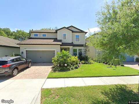 Alcon Blue, RIVERVIEW, FL 33578