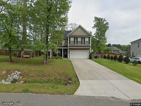 Swan, SUMMERVILLE, SC 29485