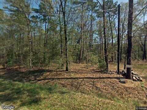Moonlite, LIVINGSTON, TX 77351
