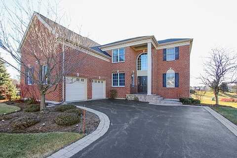 Championship, HAWTHORN WOODS, IL 60047